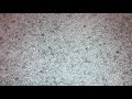 MY ZENITH VCR IS TOTALLY DEAD 10 2 2021