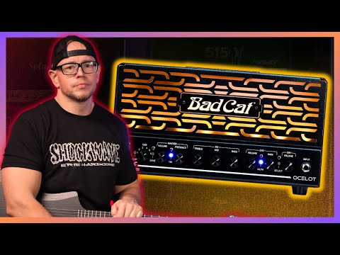Badcat quietly released one of the BEST Lunchbox amps on the market.......
