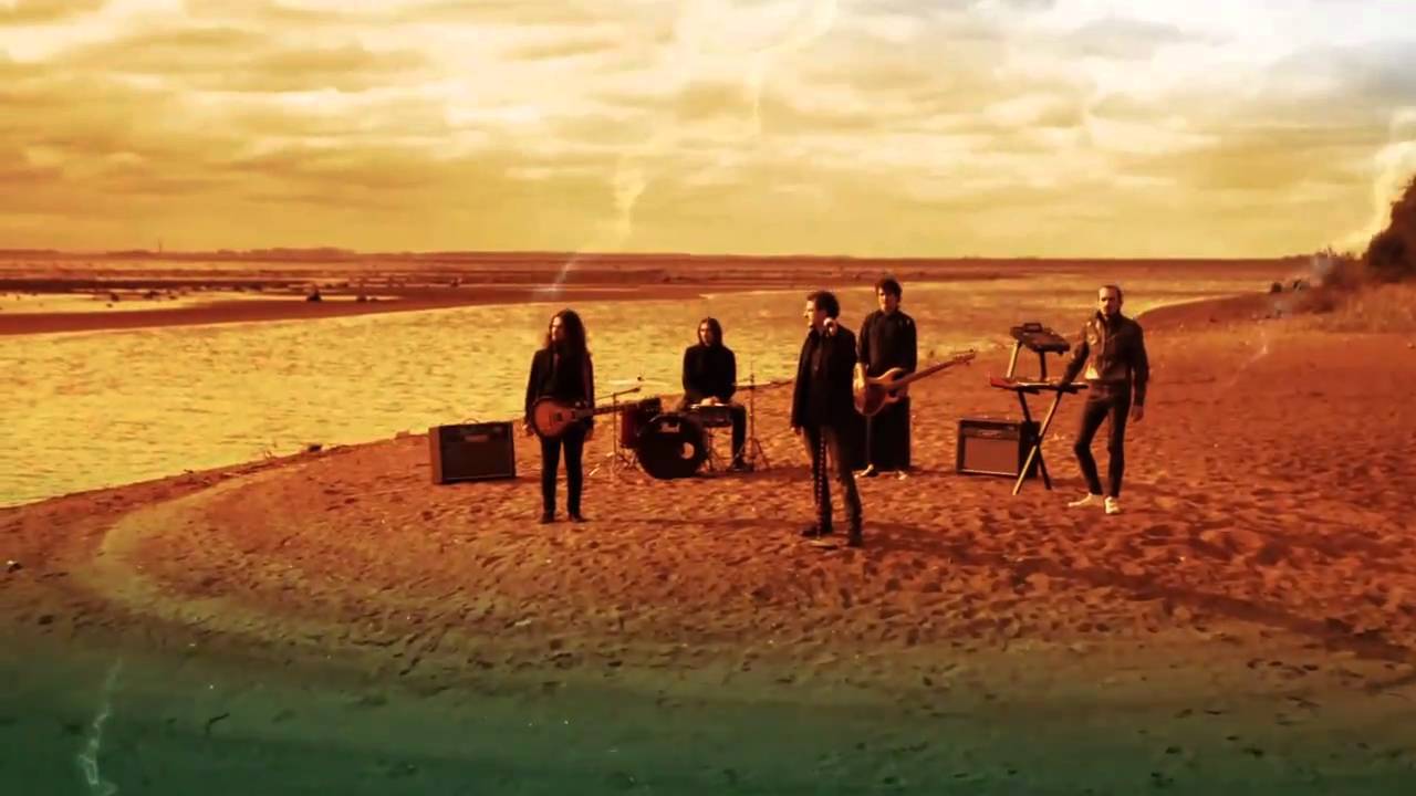 Animal ДжаZ — 2010