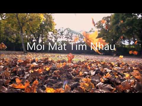 Mỏi mắt tìm nhau - Lê Thu Hà