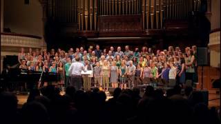 The Choir: Strange Powers (Magnetic Fields cover)