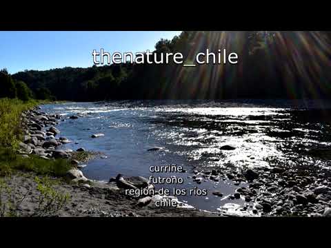 Curriñe Futrono Región de Los Ríos Chile 1 