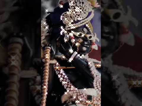 Radha 🌹 🌚Krishna 🌝 Kishori 💞✨official 🥀99 #music #song #love #cover