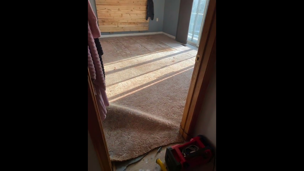 External video