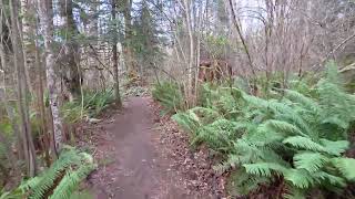 McLane Creek Nature Trail Walk Part 1 January 26, 2026