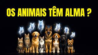 Animais gatos e cachorros tem alma ?