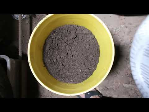 How to separate worms from castings! 5,000 red wigglers made 50lbs of castings in 3 months #MRLGiii