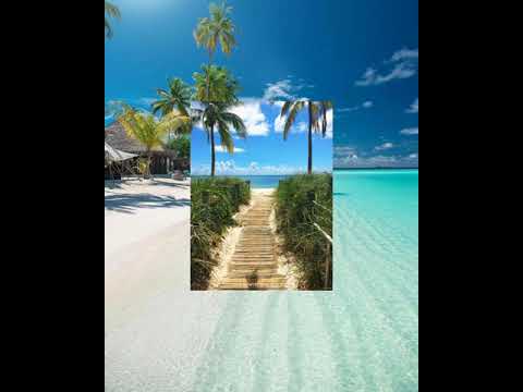 VIZE x JOCKER BRA x LEONY - Paradise (remix & sholowed)