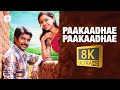Paakaadhae Paakaadhae 8K 4K Video Song Varuthapadatha Vaalibar Sangam Sivakarthikeyan D Imman