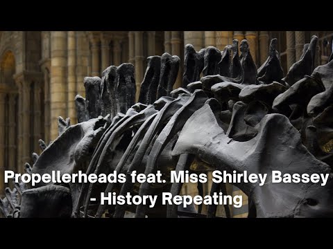 Propellerheads feat. Miss Shirley Bassey - History Repeating