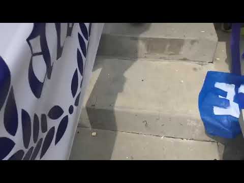 ACB go crazy after Sebastian goal vs LAFC