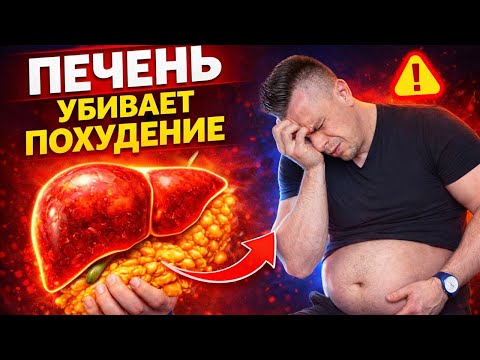 ПЕЧЕНЬ МЕШАЕТ ТЕБЕ ПОХУДЕТЬ? ЧТО ДЕЛАТЬ ПЕЧЕНЬ МЕШАЕТ ТЕБЕ ПОХУДЕТЬ? ЧТО ДЕЛАТЬ