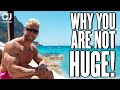 The 5 Reasons YOU are not Huge & How to Change that!