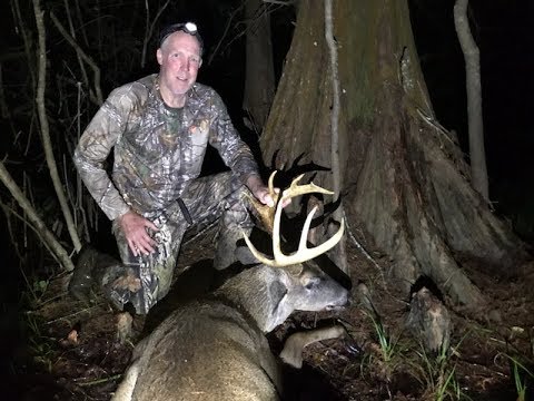 Louisiana WMA 11 Point Whitetail Deer 2018, Trail Cam Footage at end.
