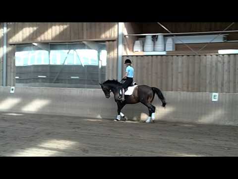 Avagon / Matcho AA 2009*