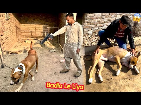 BASSAM IS BADSHAH AND GAOT🐐 YOU ARE THE ONLY ONE😱