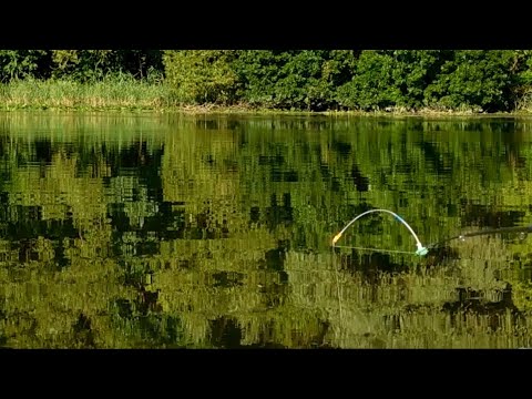 🇺🇦Ловля карася на перловку и РВАНОГО ЧЕРВЯ на боковой кивок с летней мормышкой
