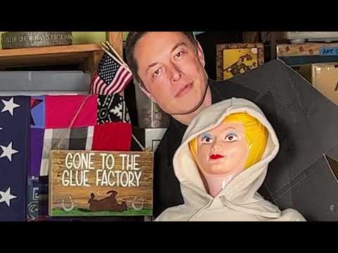 Dumpster Fire 87 Clip - Elon Had A Secret Baby