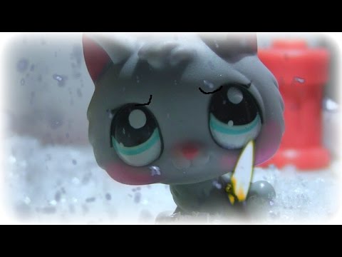 LPS: The Little Match Girl (Christmas special 2015)