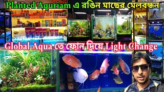 Planted Aquriam আর রঙিন মাছের মেলবন্ধন | Aquriam Fish Shop | Global Aqua | Planted Aquriam Fish 