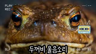 동물 울음소리 맞추기2