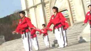 Poomsae Taekwon Dance Taegeuk 1 Jang.mpg