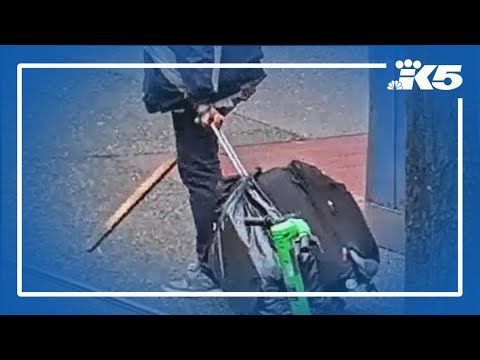 Image shows suspect who attacked 75-year-old woman