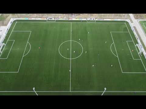 DSVP: MO17-1 vs MO19-1