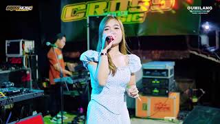 Download lagu 10 CROSS MUSIC 13M DREAM MAN DESI FARADILA mp3