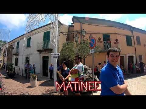 SAN LUPO - FESTA PATRONALE 2018 - MOMENTI DELLA QUESTUA E MATINEE