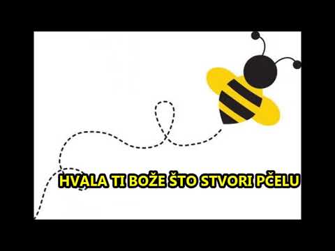 LjUBAVNA ZUJALICA- KARAOKE