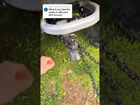 Using the chain harrow to bury grass seed