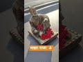 Tu Abhal Shivjayantistatus2025 Shivjanmotsav Viralshort Marathisong Song Music Jijaujayanti