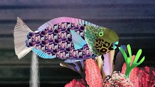 White Sand Beaches Are Made of Fish Poop