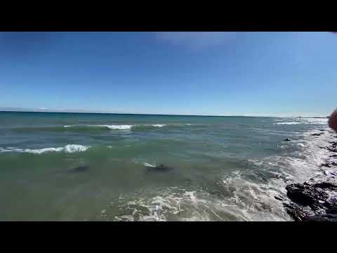 Relax on the beach 🏖️ and some ☀️🌊