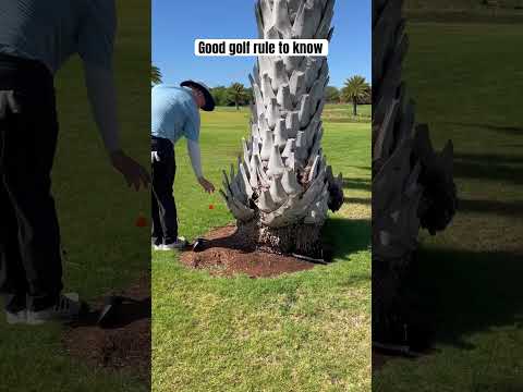Crazy golf rule every player should know | golf rules