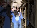 Кроссовки женские сетка замша 595332 Коричневый с белым Відео