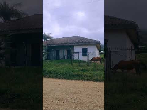 Lotes, Venta, Dagua - $420.000.000