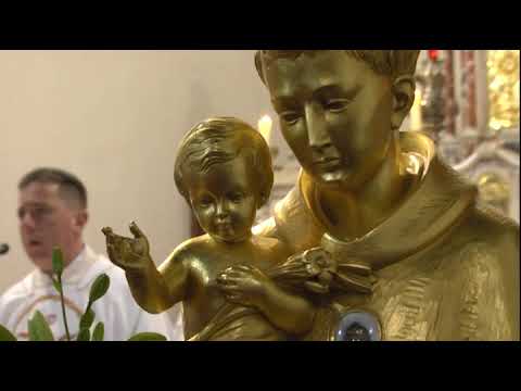 Najava Trinaest utoraka svetom Anti