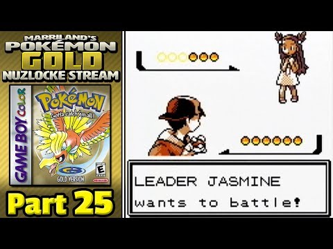 Pokémon Gold Nuzlocke, Part 25: Jasmine Trouble!