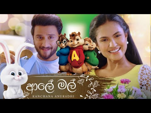 ආලේ මල් - Aaley mal | Kanchana Anuradhi new song | Aaley mal alvin version song | Himabole Studio