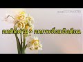 หวย เจ้าพายุ