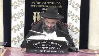 בית המדרש חזון יעקב • יום רביעי כה' טבת תשפ'ו (בית הכנסת מוסאיוף) - התמונה מוצגת ישירות מתוך אתר האינטרנט יוטיוב. זכויות היוצרים בתמונה שייכות ליוצרה. קישור קרדיט למקור התוכן נמצא בתוך דף הסרטון