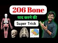 All 206 Bones In Body Skull Bones 14 Facial Bone Head Bones Neet Bones