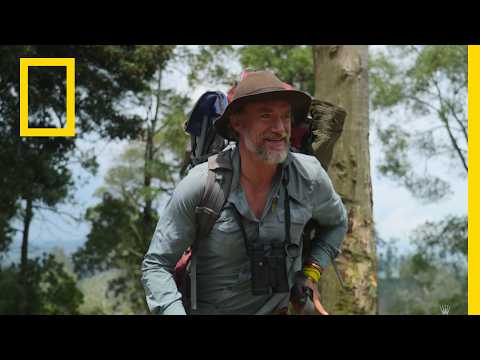 スティーブ・ボイエスの旅 | アフリカ：大地の野生の故郷 | ナショナルジオグラフィック (Steve Boyes's Journey | Africa Earth's Wild Home | National Geographic)