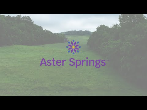 Aster Springs Glen Allen thumbnail