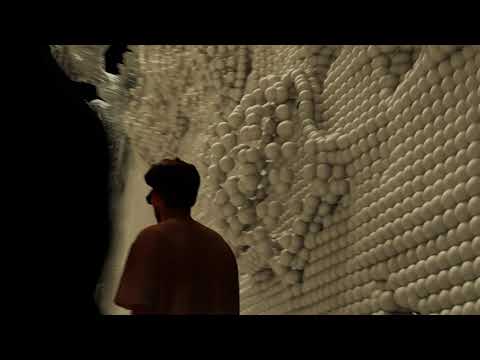 L-ALI & Lunn - Malmequeres