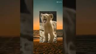 Download lagu #memes lagu trex mp3