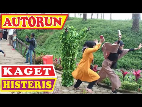 autorun-bushman-prank-prank-manusia-pohon