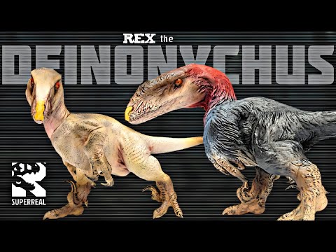 SUPERREAL RETURNS! Rex the Deinonychus Review!!! Both versions!!!